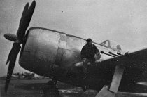 Weakley on airplane wing